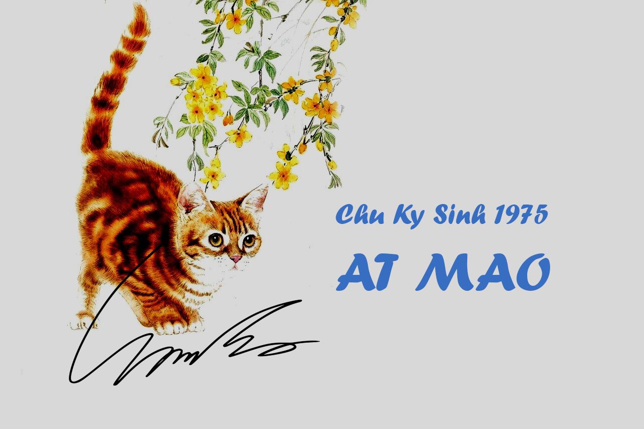 Chữ ký sinh năm 1975 cần gì và tránh gì để hợp phong thủy?