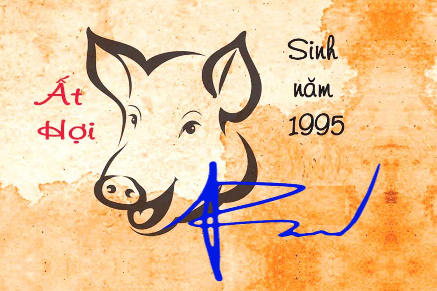 Chữ ký sinh năm 1995 tuổi Ất Hợi nên kiêng kỵ gì?
