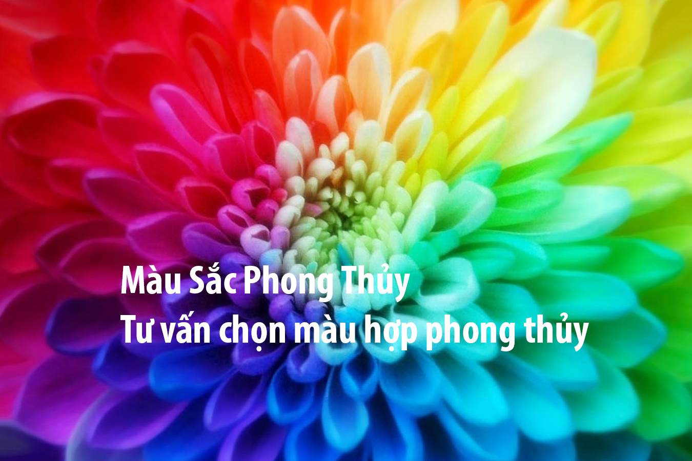Màu sắc phong thủy & năm sinh cho thấy bạn hợp màu gì?